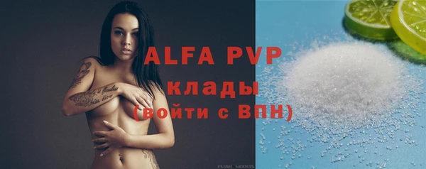 спайс Вяземский